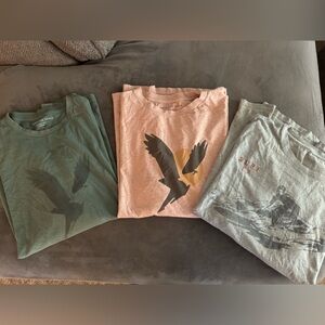 3 Men’s American Eagle Shirts